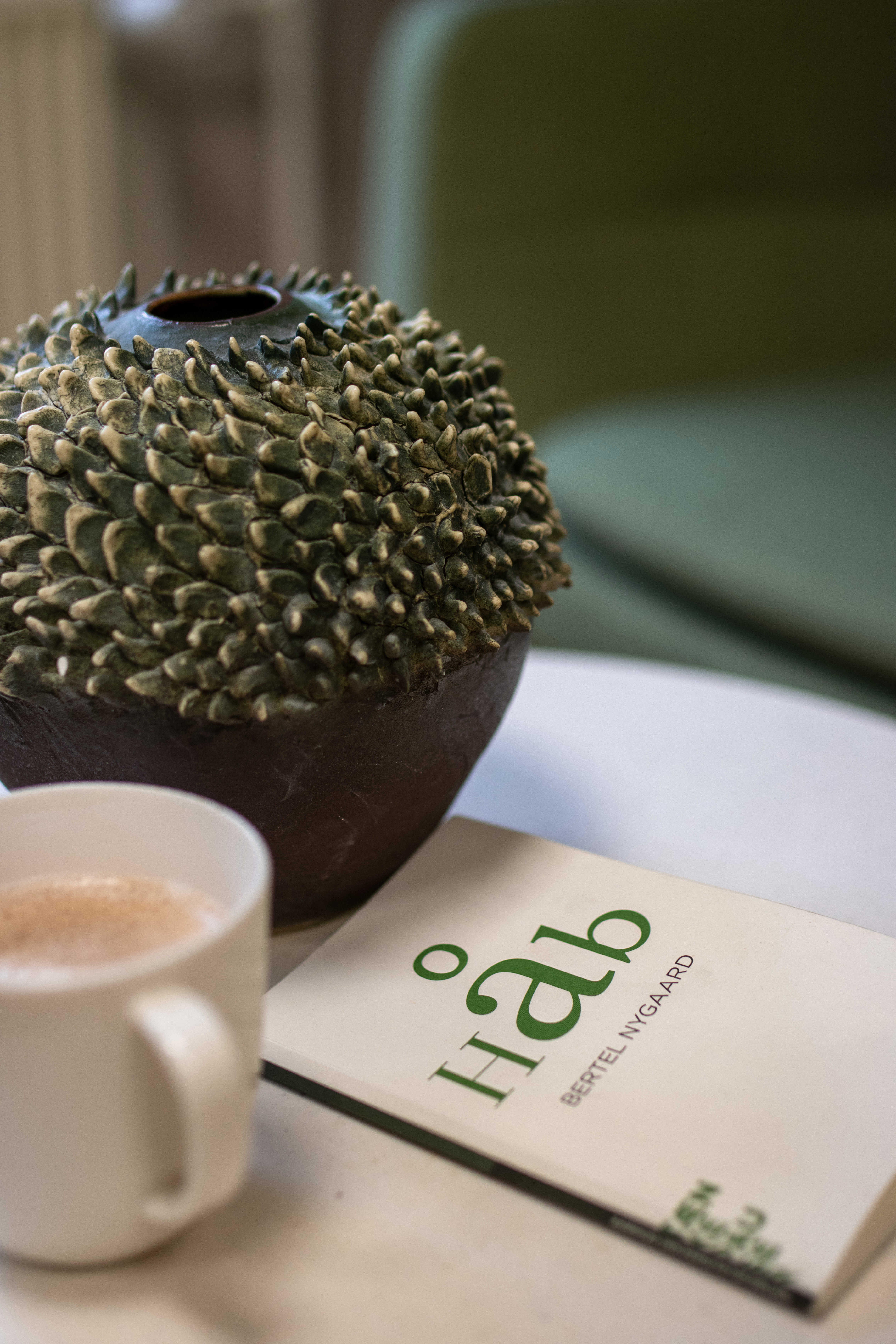 Bogen "Håb" ligger på et bord